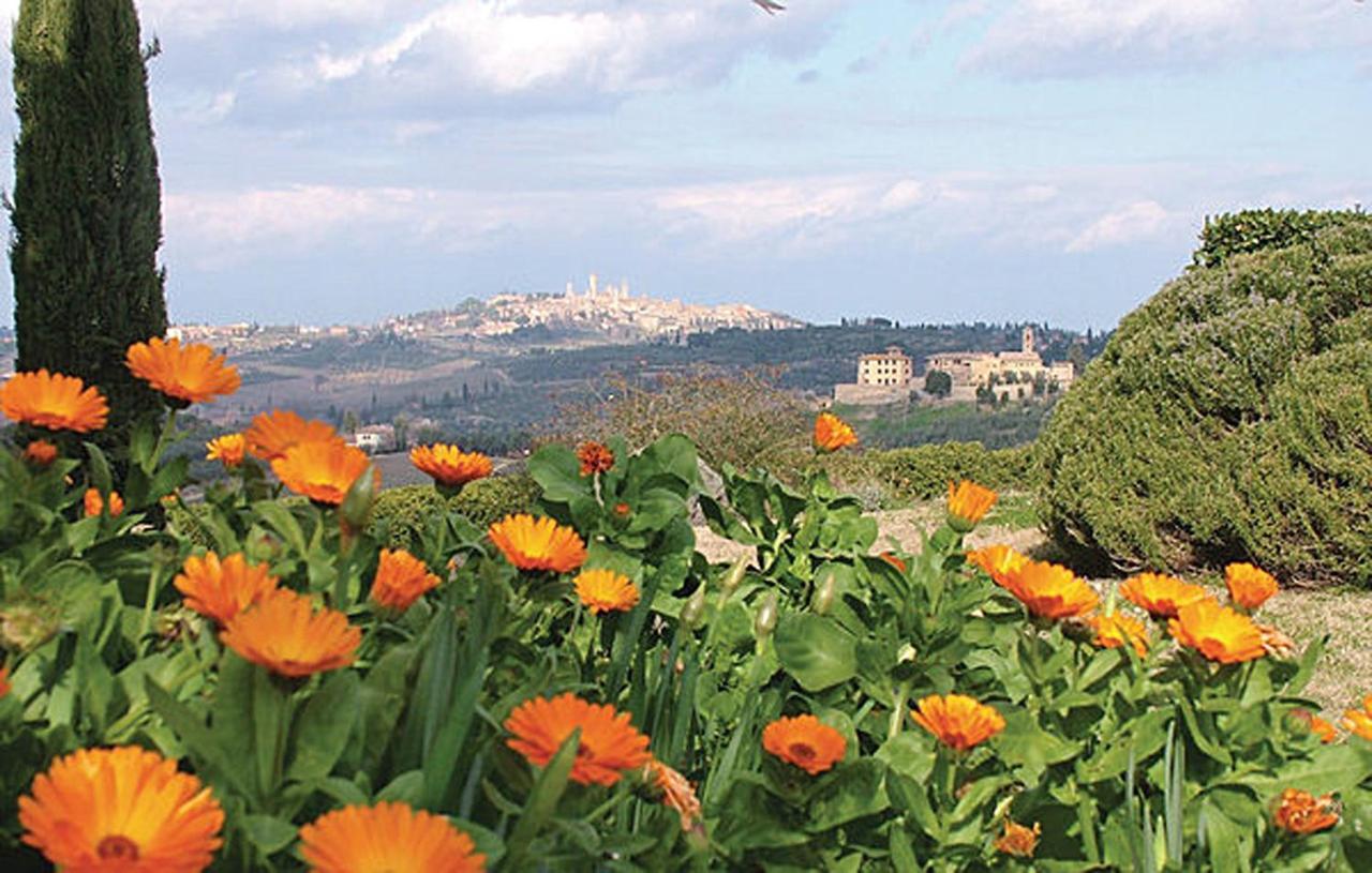 Agriturismo Fattoria Il Piano - Appartamento Stalla - San Gimignano Ngoại thất bức ảnh