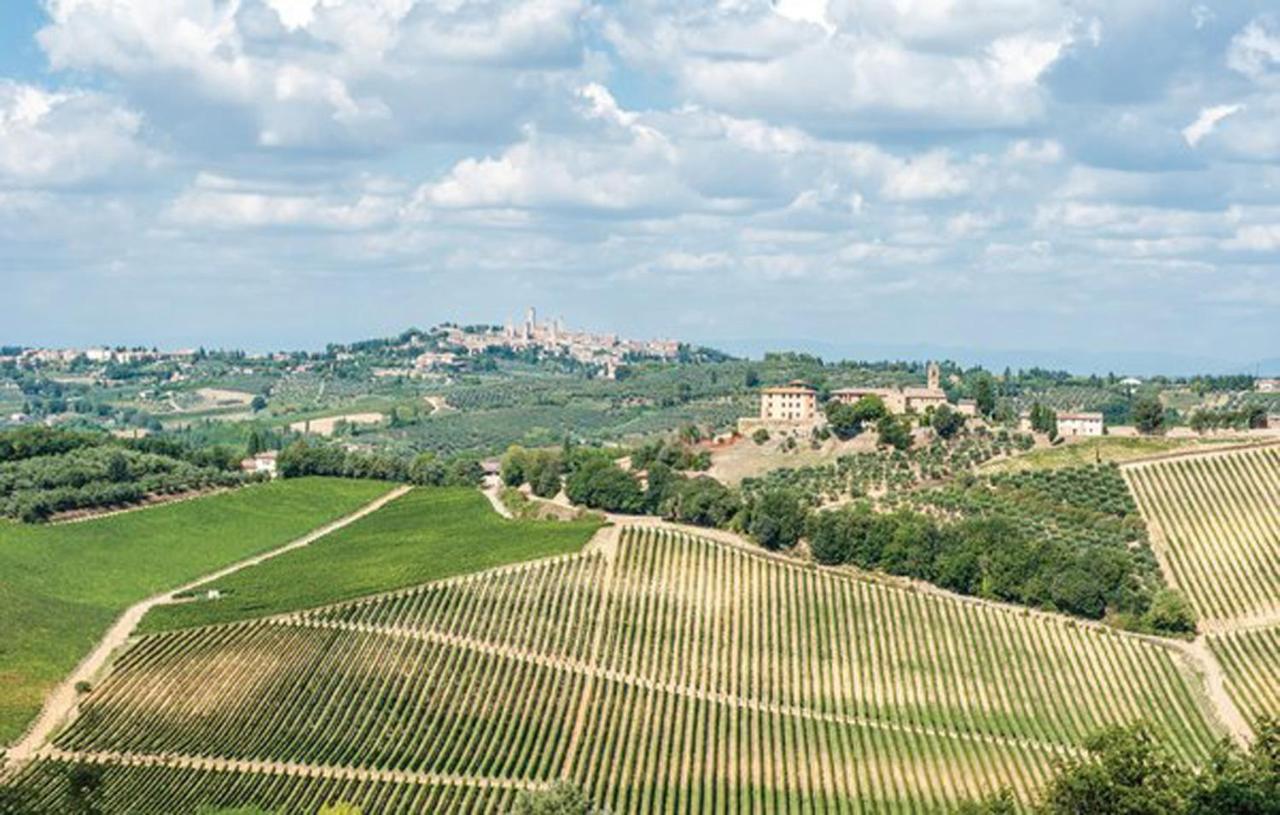 Agriturismo Fattoria Il Piano - Appartamento Stalla - San Gimignano Ngoại thất bức ảnh